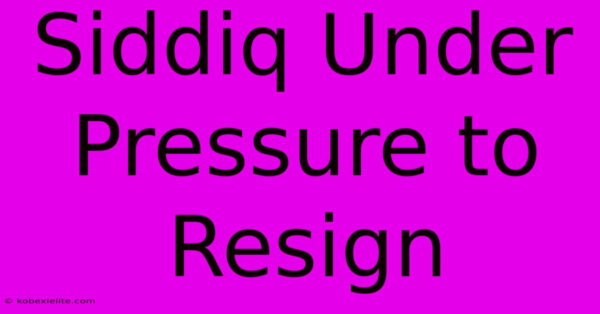 Siddiq Under Pressure To Resign