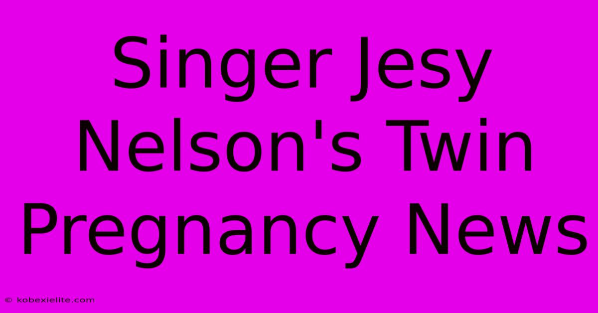 Singer Jesy Nelson's Twin Pregnancy News