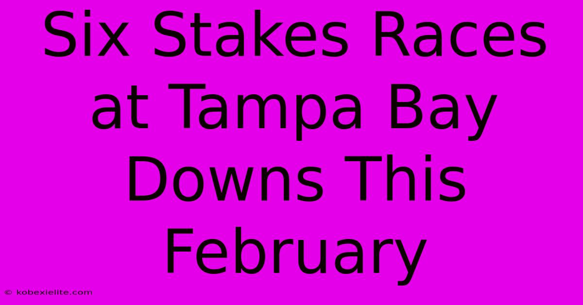 Six Stakes Races At Tampa Bay Downs This February