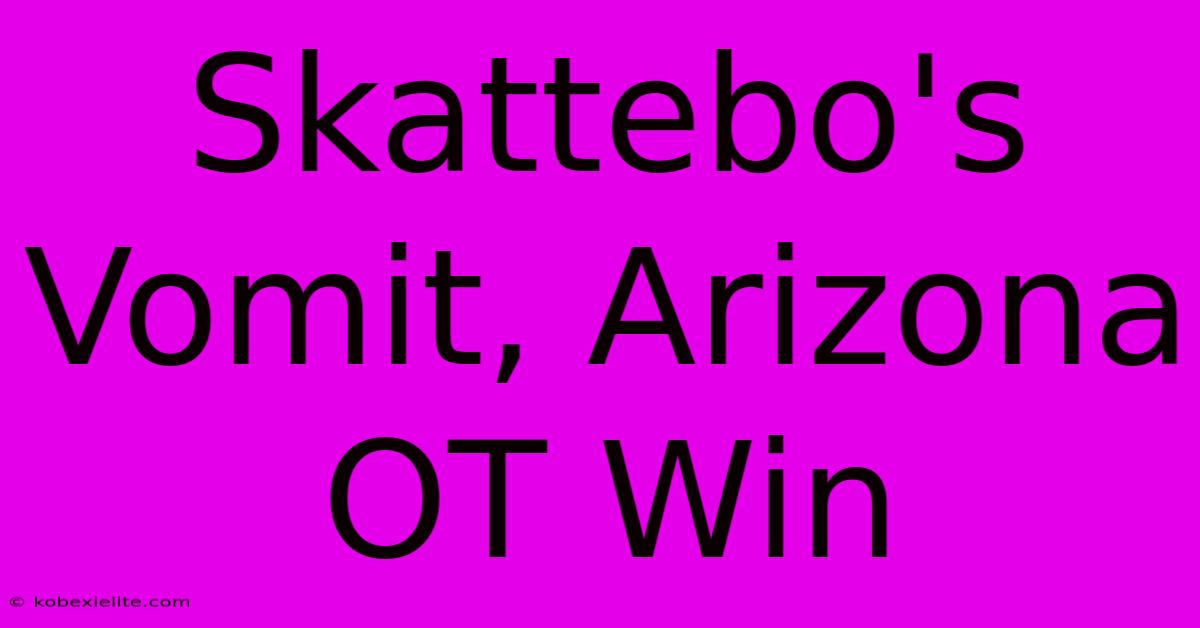 Skattebo's Vomit, Arizona OT Win