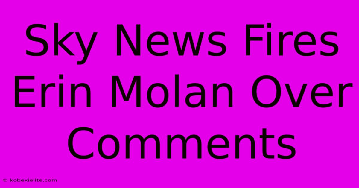 Sky News Fires Erin Molan Over Comments Sky News Fires Erin Molan Over Comments