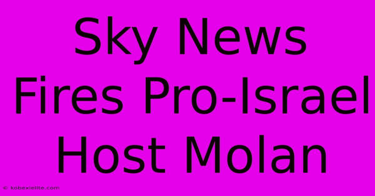 Sky News Fires Pro-Israel Host Molan Sky News Fires Pro-Israel Host Molan