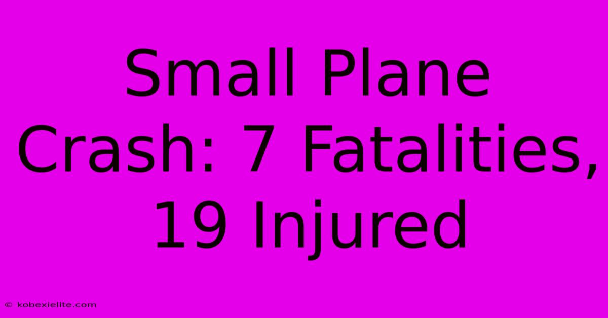 Small Plane Crash: 7 Fatalities, 19 Injured