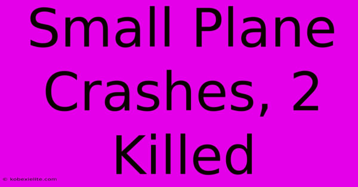 Small Plane Crashes, 2 Killed