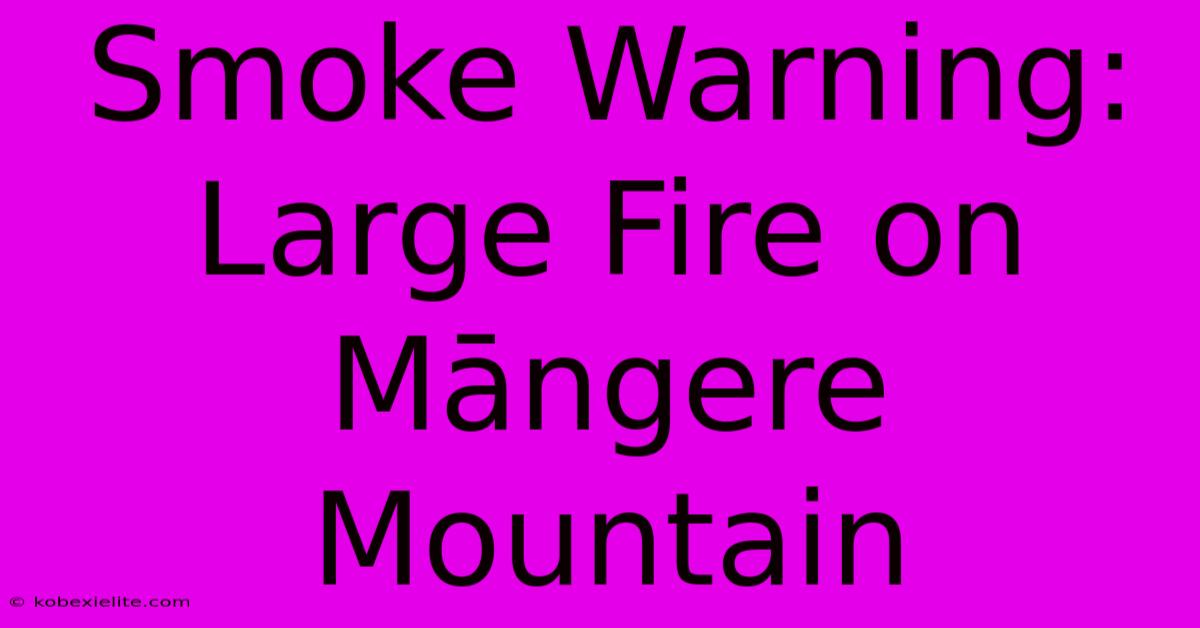 Smoke Warning: Large Fire On Māngere Mountain