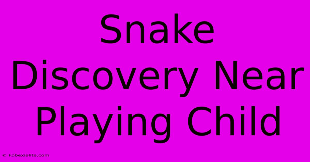 Snake Discovery Near Playing Child