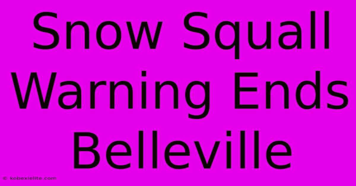 Snow Squall Warning Ends Belleville