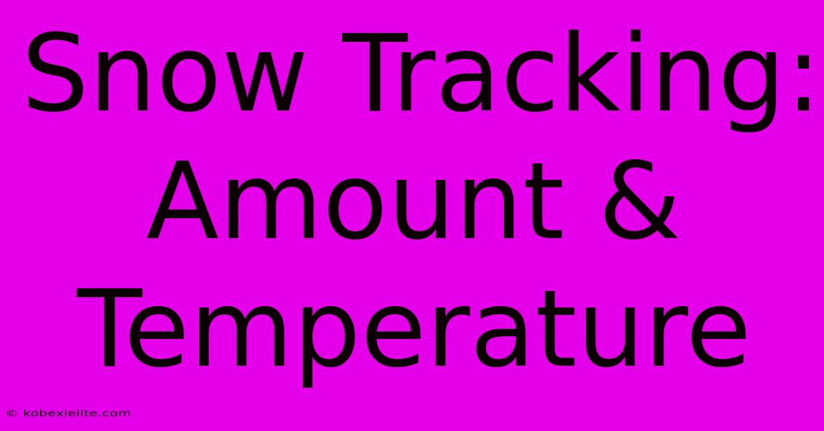 Snow Tracking: Amount & Temperature