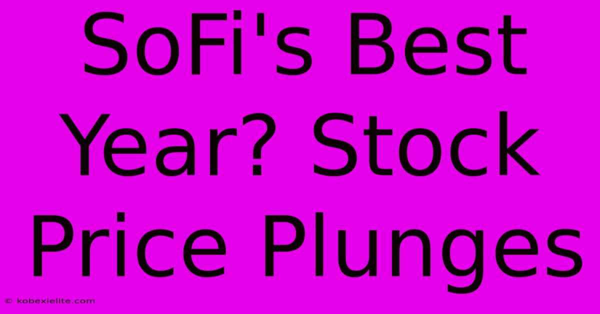 SoFi's Best Year? Stock Price Plunges