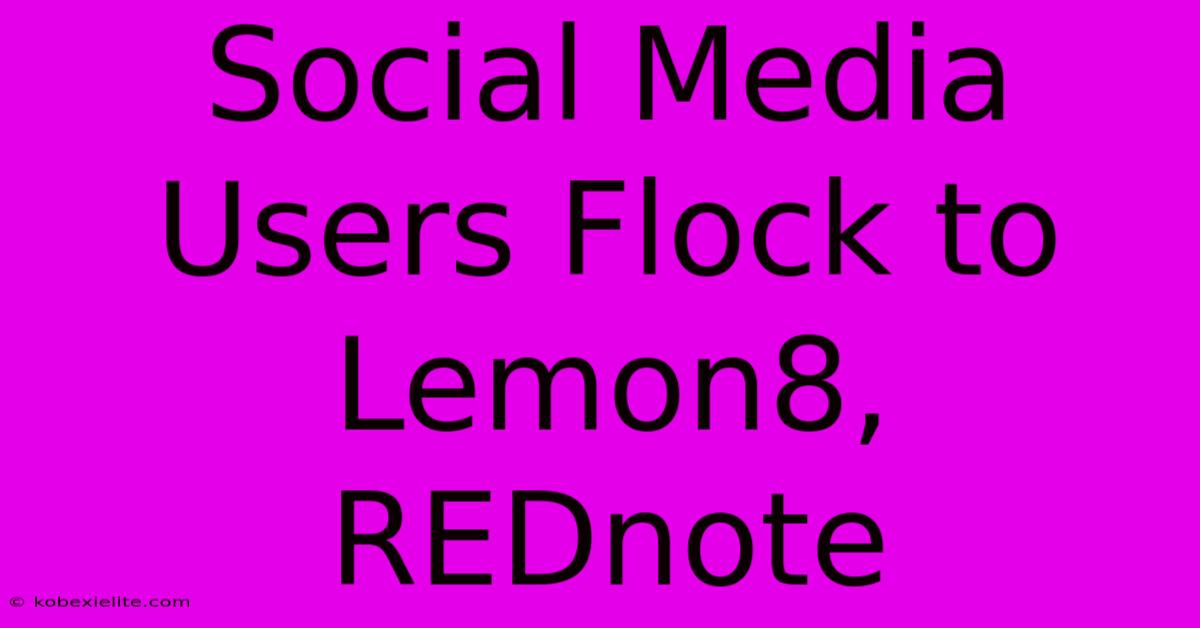 Social Media Users Flock To Lemon8, REDnote