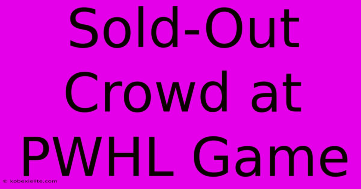 Sold-Out Crowd At PWHL Game