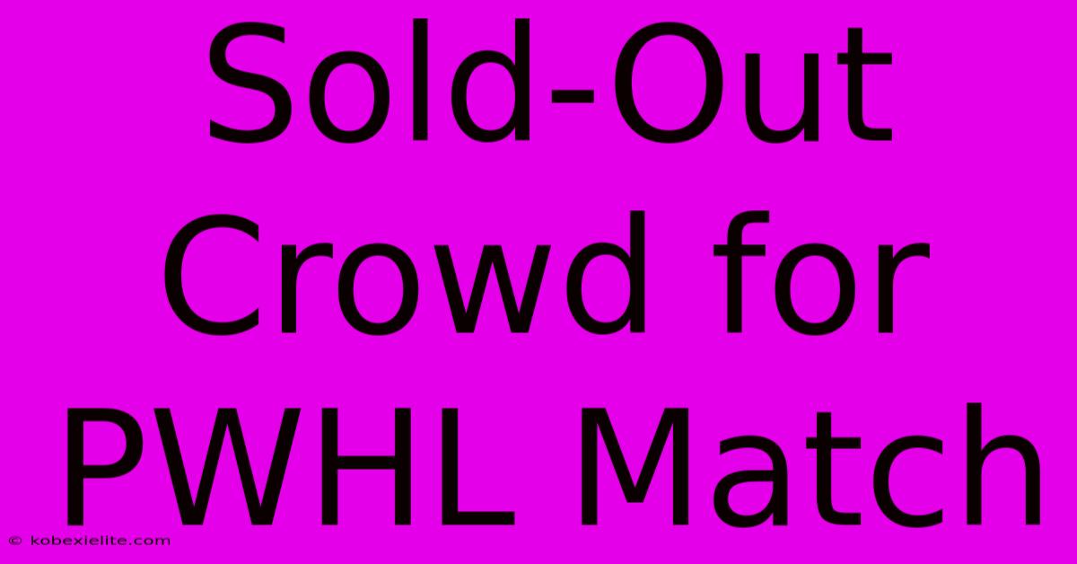 Sold-Out Crowd For PWHL Match