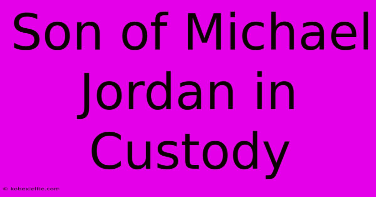 Son Of Michael Jordan In Custody