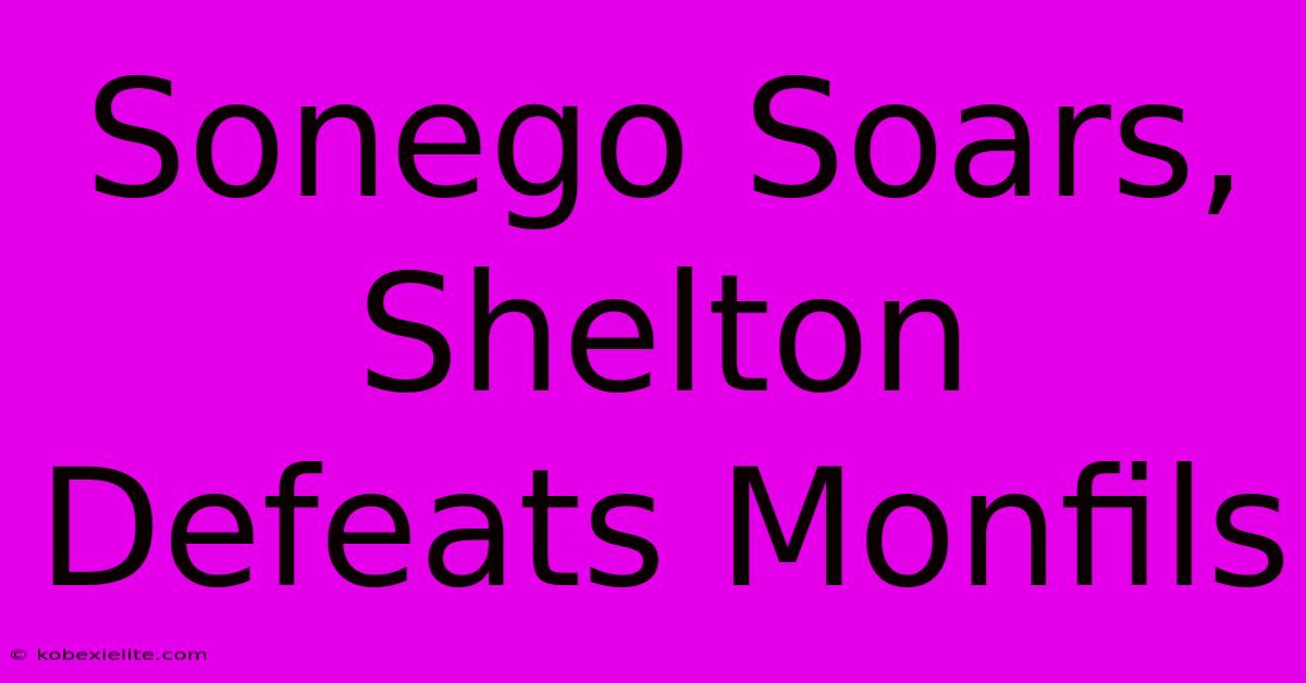 Sonego Soars, Shelton Defeats Monfils