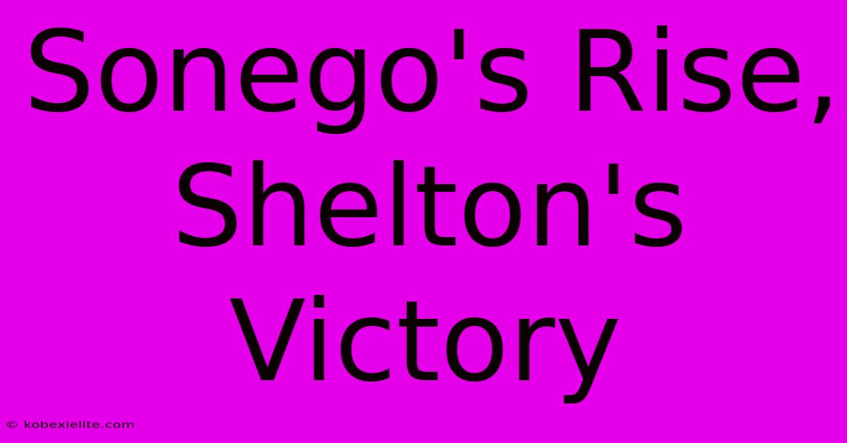 Sonego's Rise, Shelton's Victory