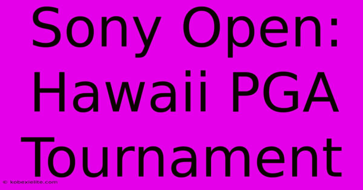 Sony Open: Hawaii PGA Tournament