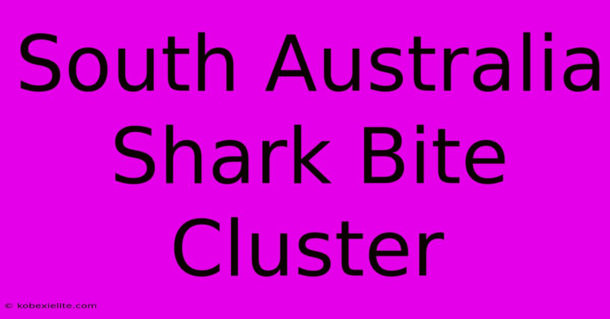 South Australia Shark Bite Cluster