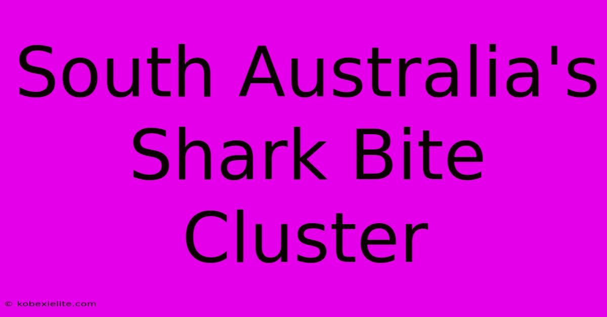 South Australia's Shark Bite Cluster