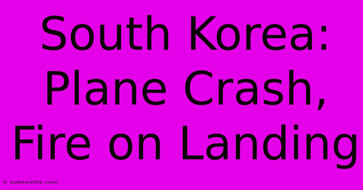 South Korea: Plane Crash, Fire On Landing