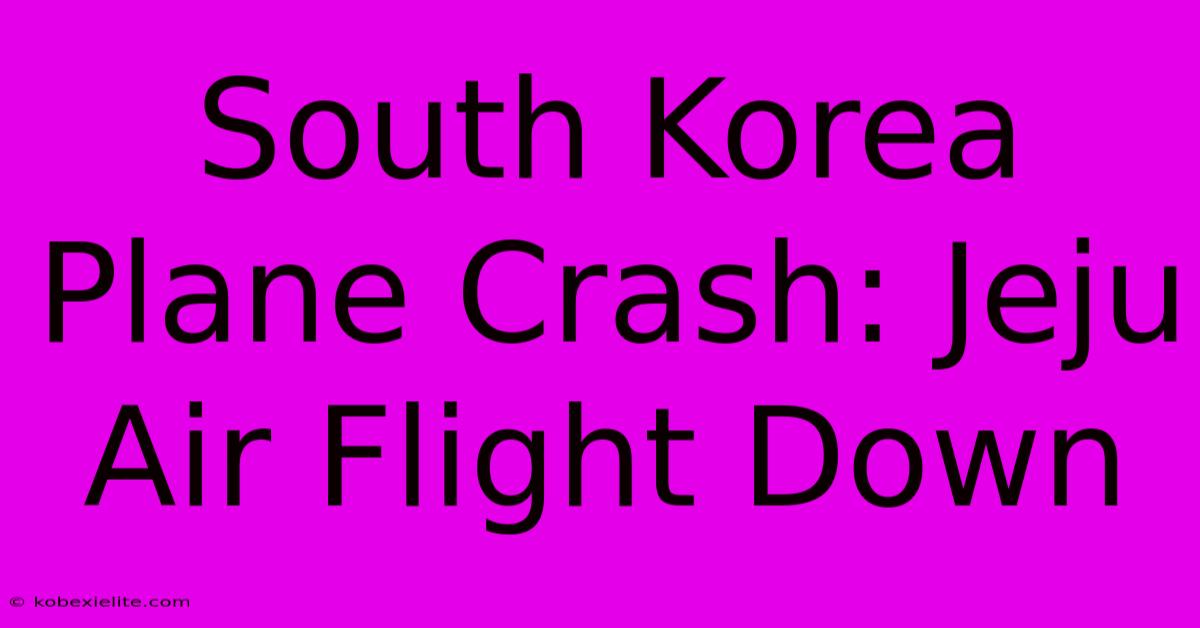 South Korea Plane Crash: Jeju Air Flight Down