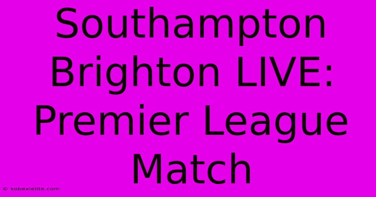 Southampton Brighton LIVE: Premier League Match