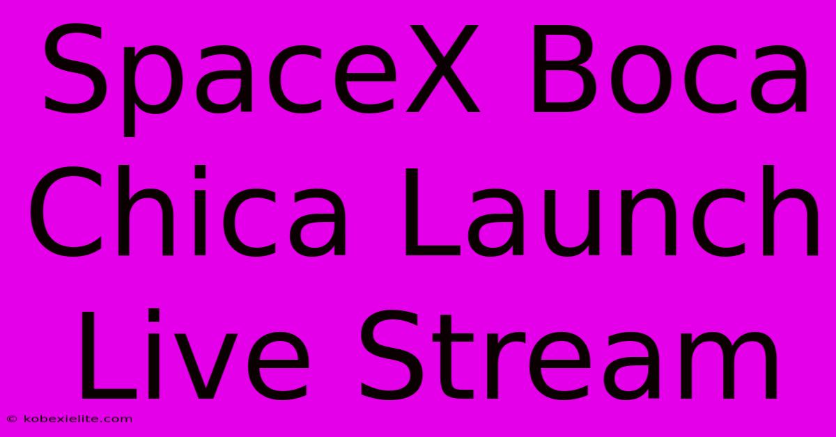 SpaceX Boca Chica Launch Live Stream