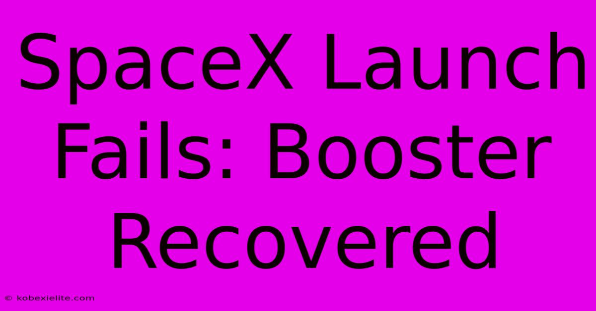 SpaceX Launch Fails: Booster Recovered