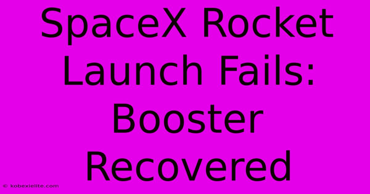 SpaceX Rocket Launch Fails: Booster Recovered