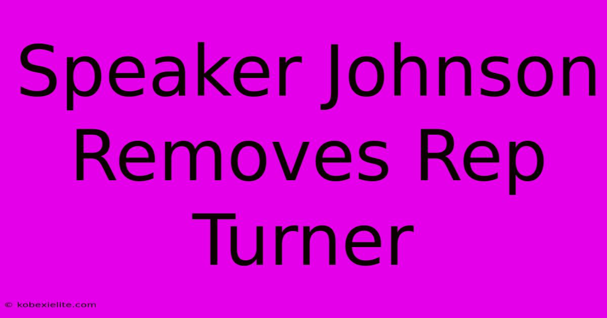 Speaker Johnson Removes Rep Turner