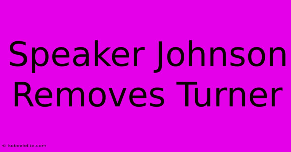 Speaker Johnson Removes Turner