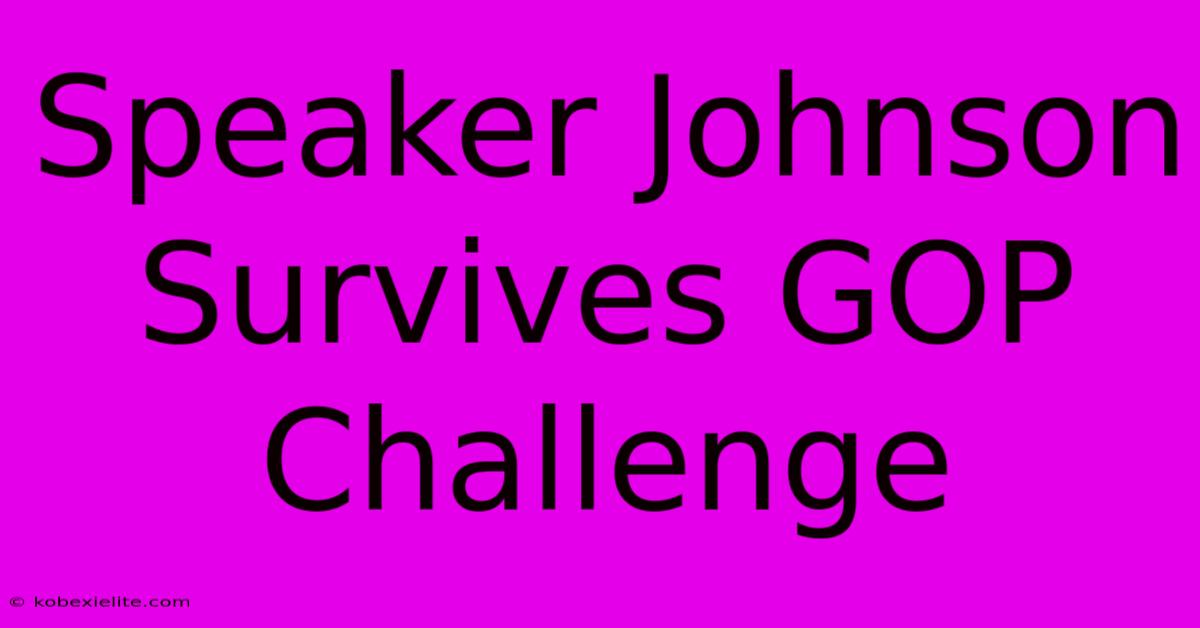 Speaker Johnson Survives GOP Challenge