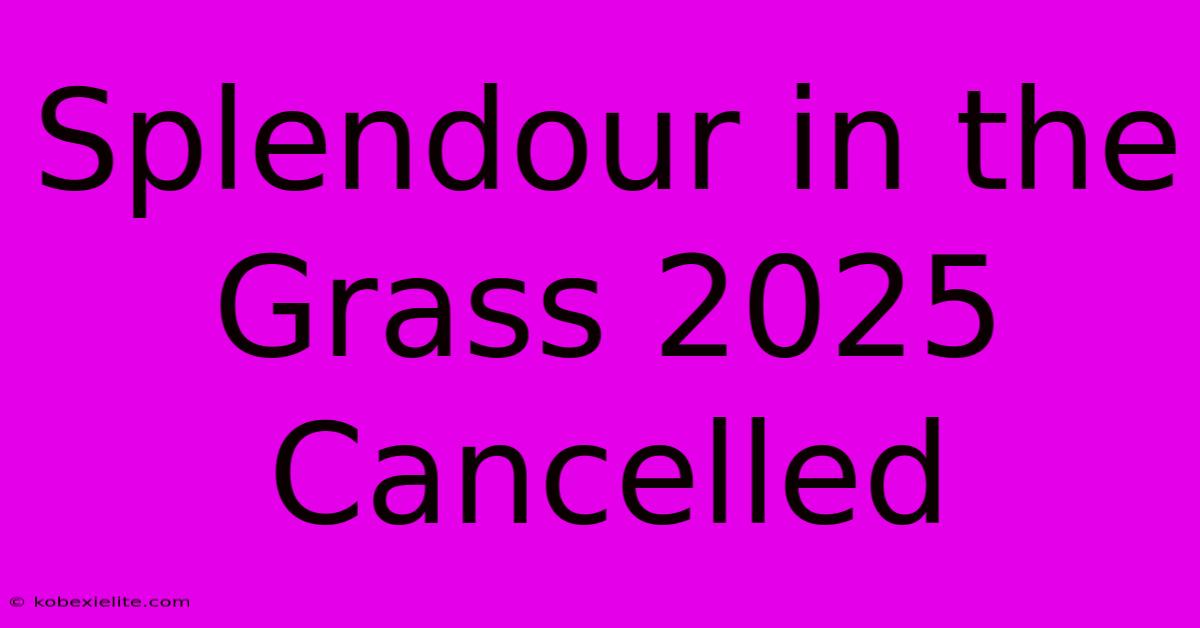 Splendour In The Grass 2025 Cancelled