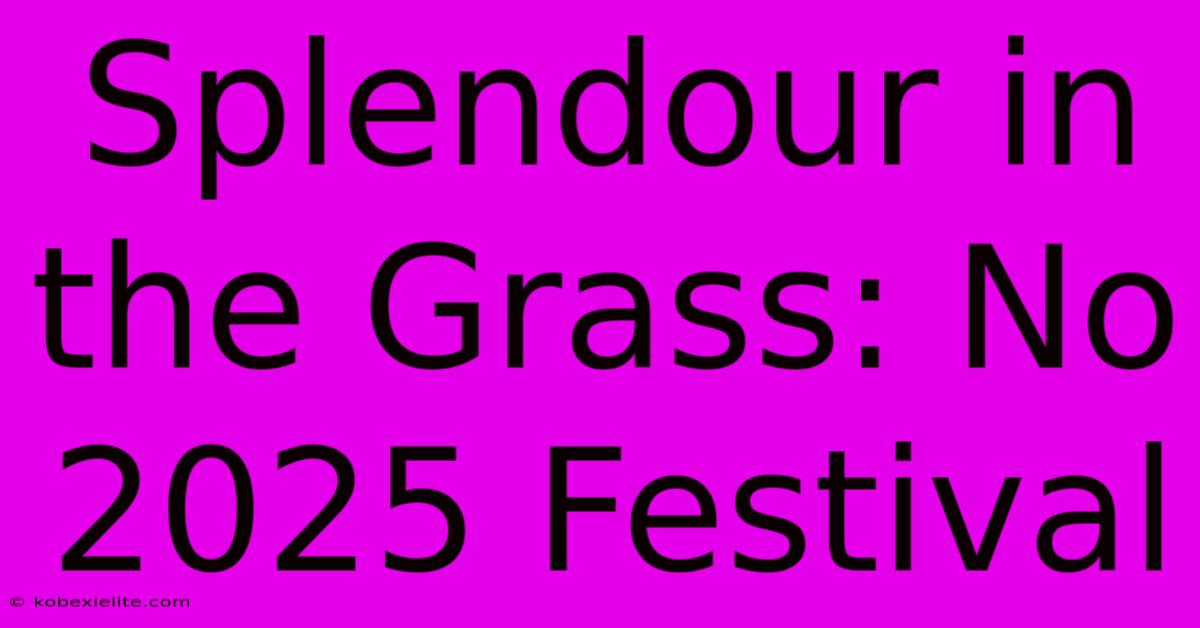 Splendour In The Grass: No 2025 Festival