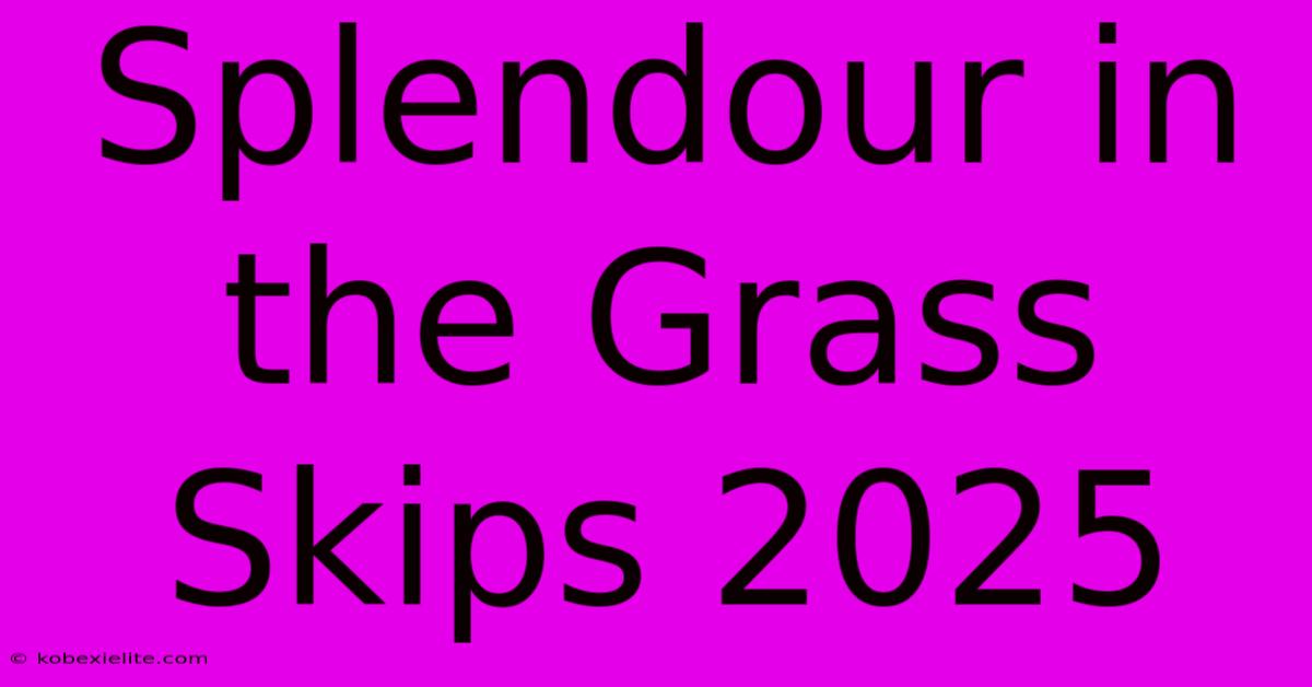 Splendour In The Grass Skips 2025