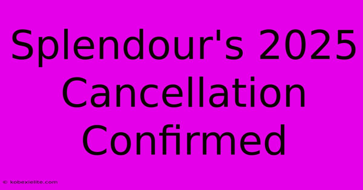 Splendour's 2025 Cancellation Confirmed