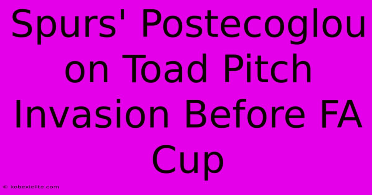 Spurs' Postecoglou On Toad Pitch Invasion Before FA Cup