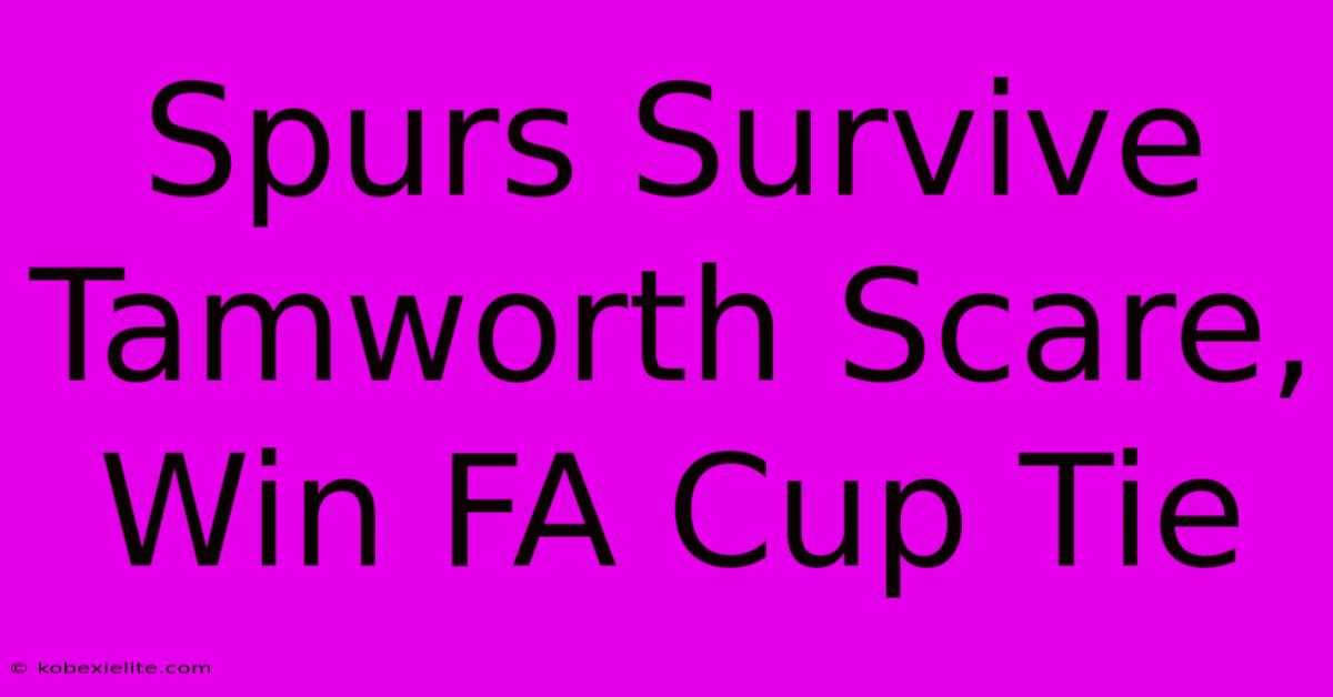 Spurs Survive Tamworth Scare, Win FA Cup Tie