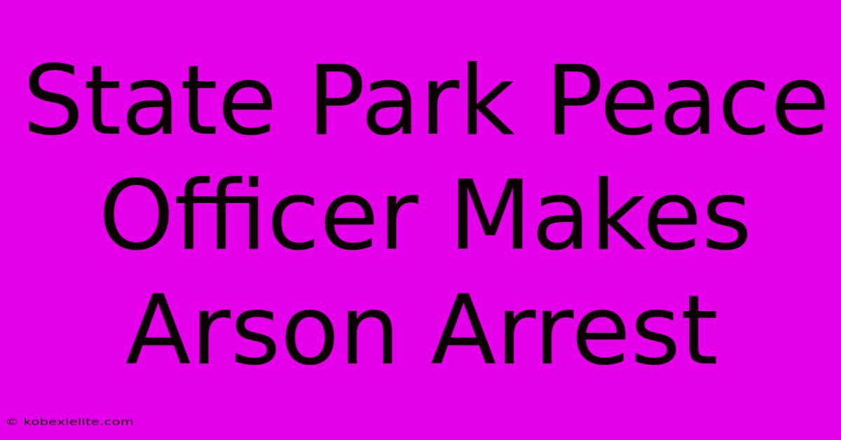 State Park Peace Officer Makes Arson Arrest