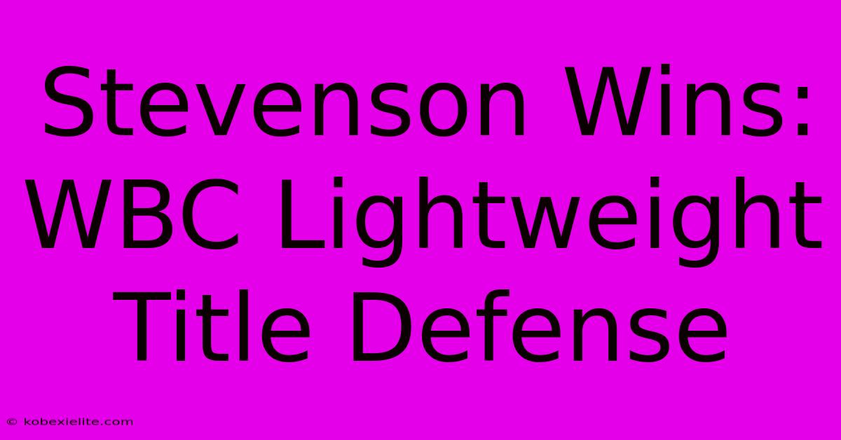 Stevenson Wins: WBC Lightweight Title Defense