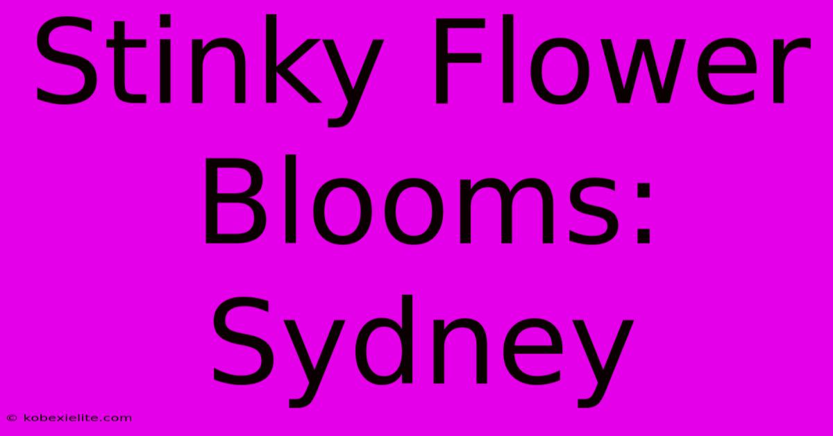 Stinky Flower Blooms: Sydney