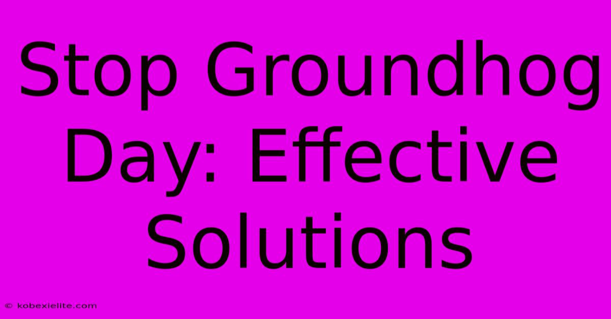 Stop Groundhog Day: Effective Solutions