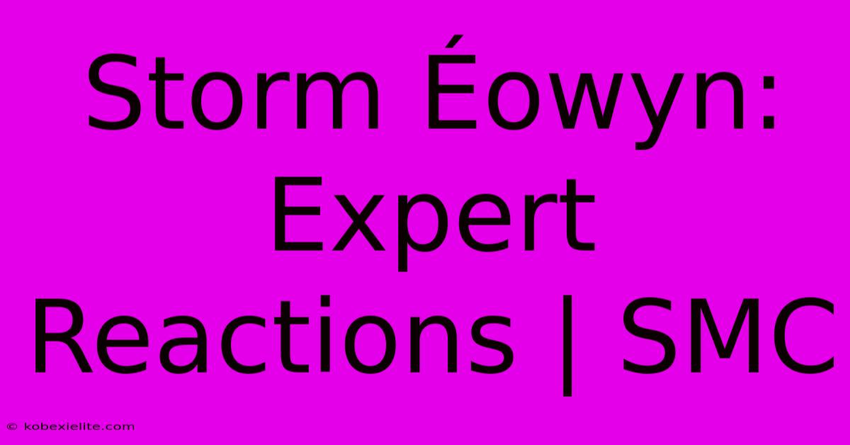 Storm Éowyn: Expert Reactions | SMC