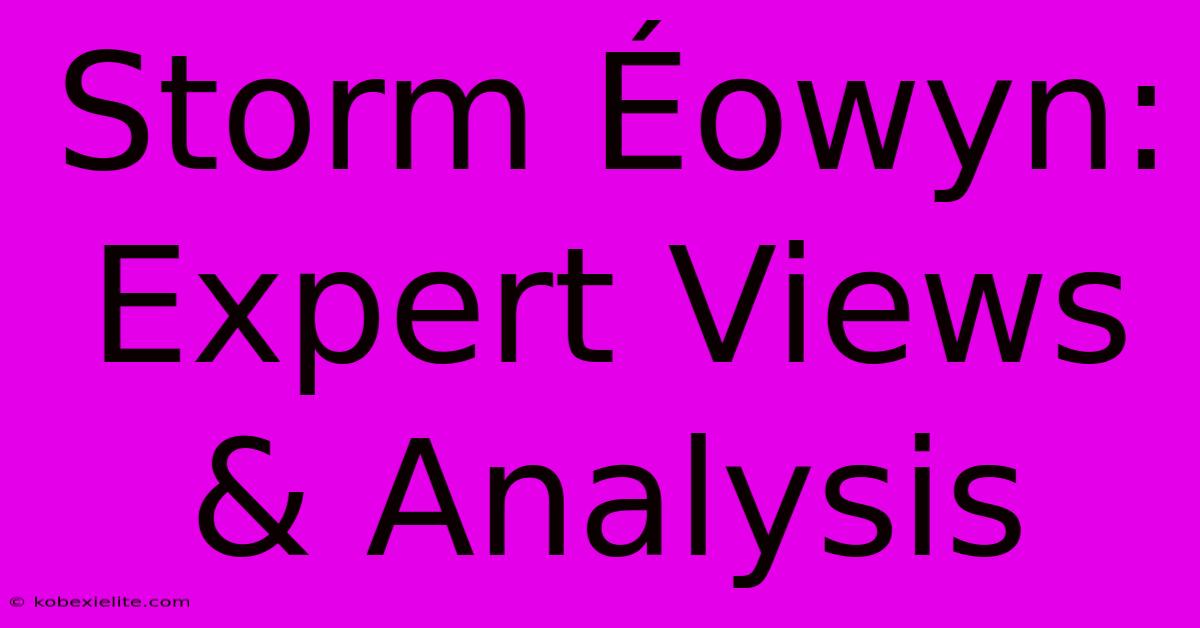 Storm Éowyn: Expert Views & Analysis