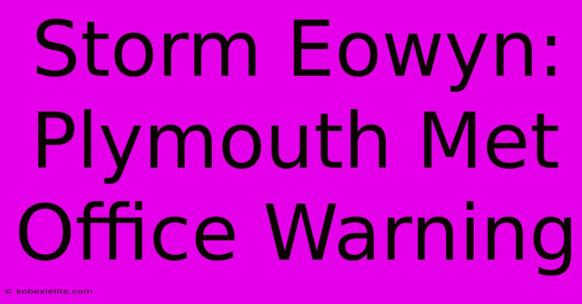 Storm Eowyn: Plymouth Met Office Warning