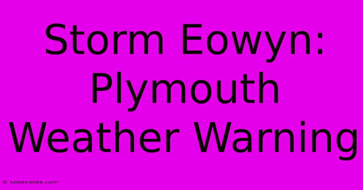 Storm Eowyn: Plymouth Weather Warning