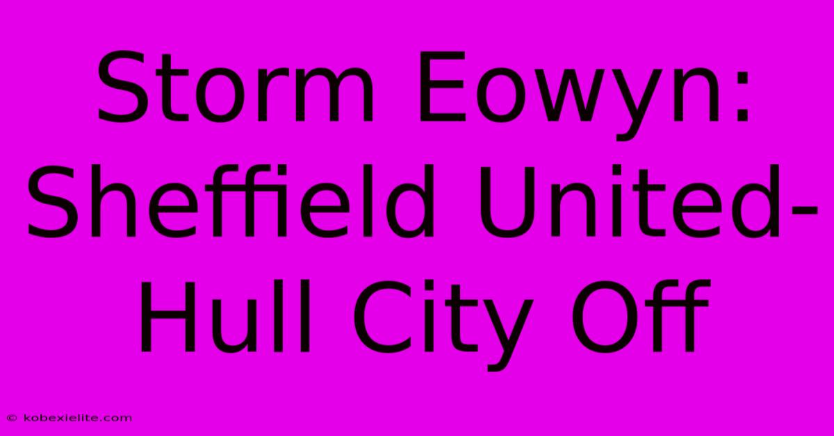 Storm Eowyn: Sheffield United-Hull City Off