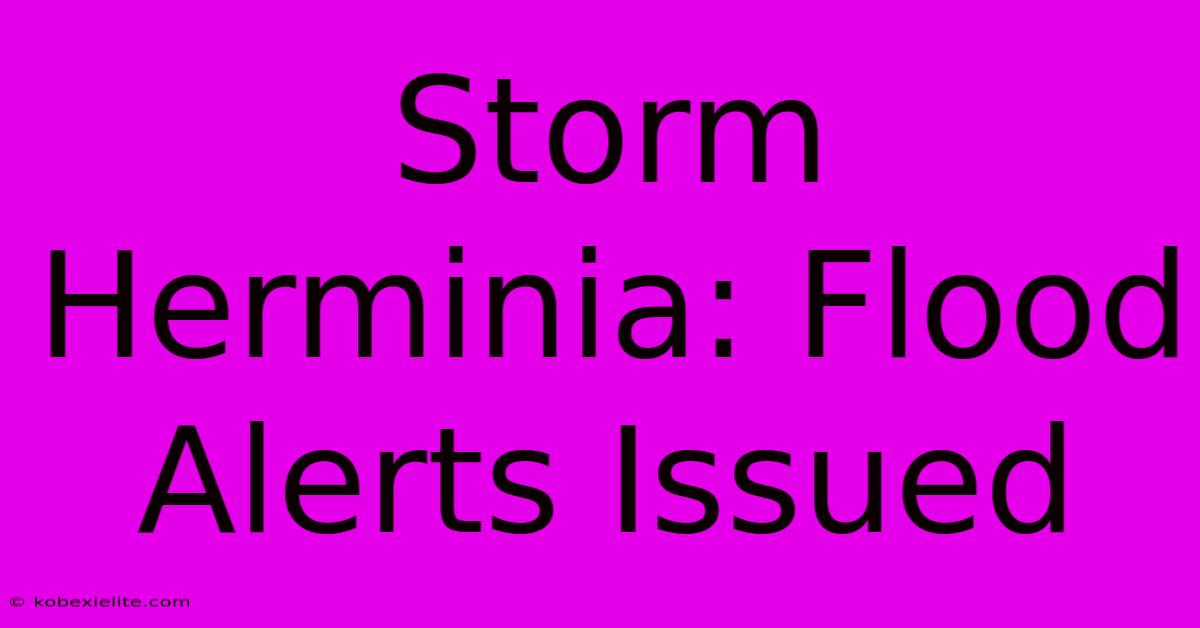 Storm Herminia: Flood Alerts Issued