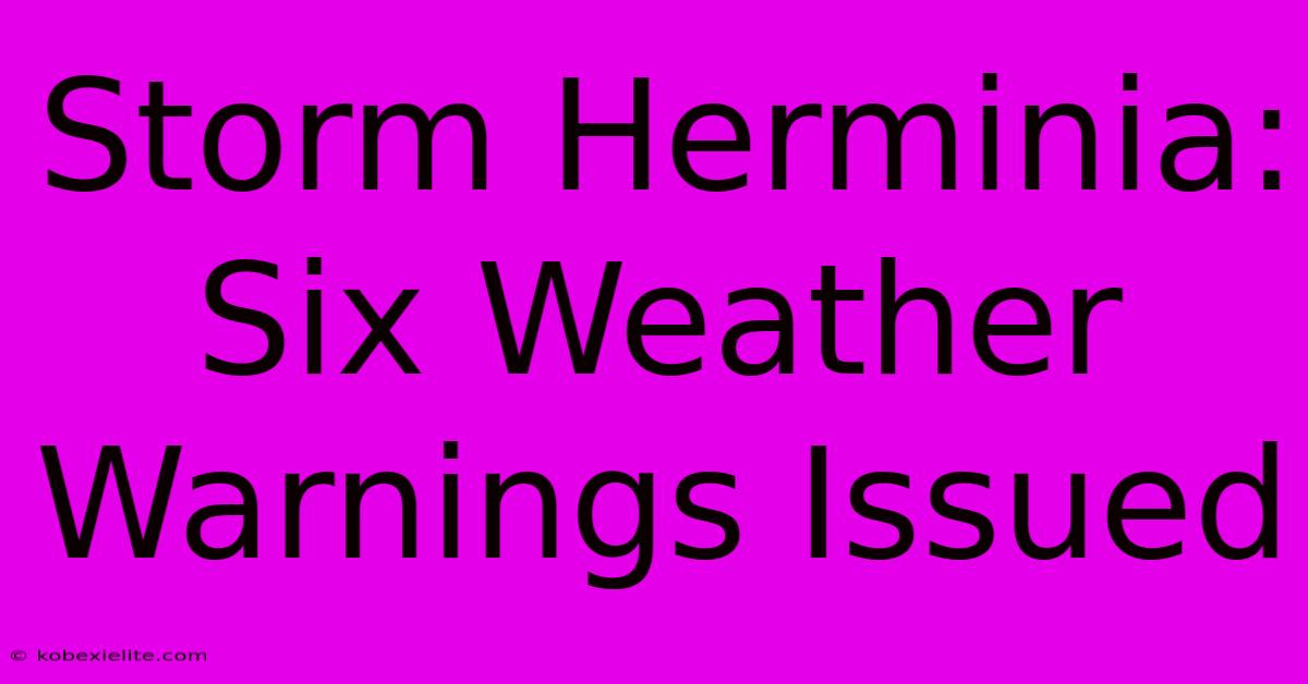 Storm Herminia: Six Weather Warnings Issued