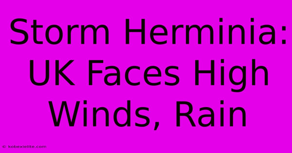 Storm Herminia: UK Faces High Winds, Rain