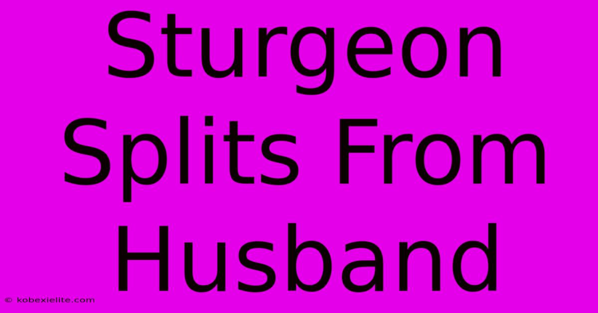 Sturgeon Splits From Husband